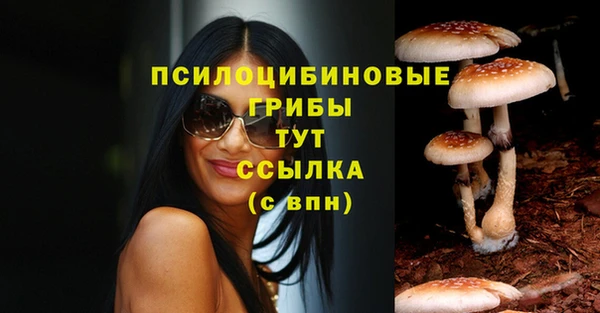 дживик Нея