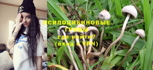 дживик Нея