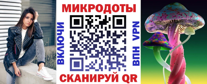 Купить  Талдом  Псилоцибиновые грибы Psilocybe 